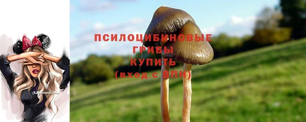 соль курить ск Балабаново