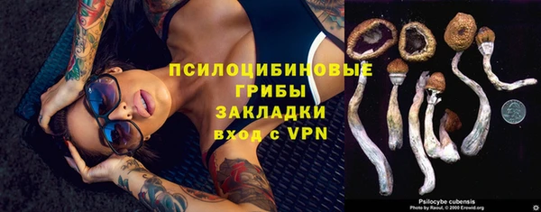 трава Баксан