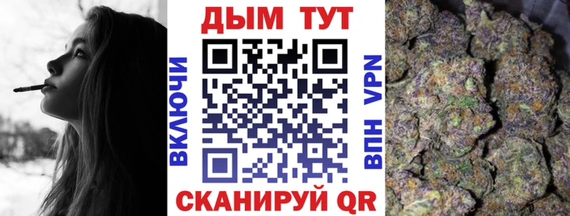 где можно купить   Заозёрный  Марихуана сатива 